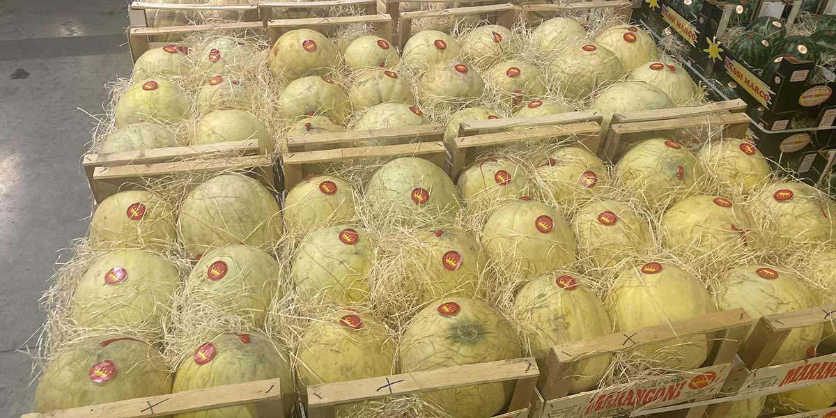 «Su meloni e angurie del mantovano prevediamo un buco produttivo» 